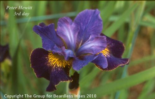 Peter Hewitt 3rd day